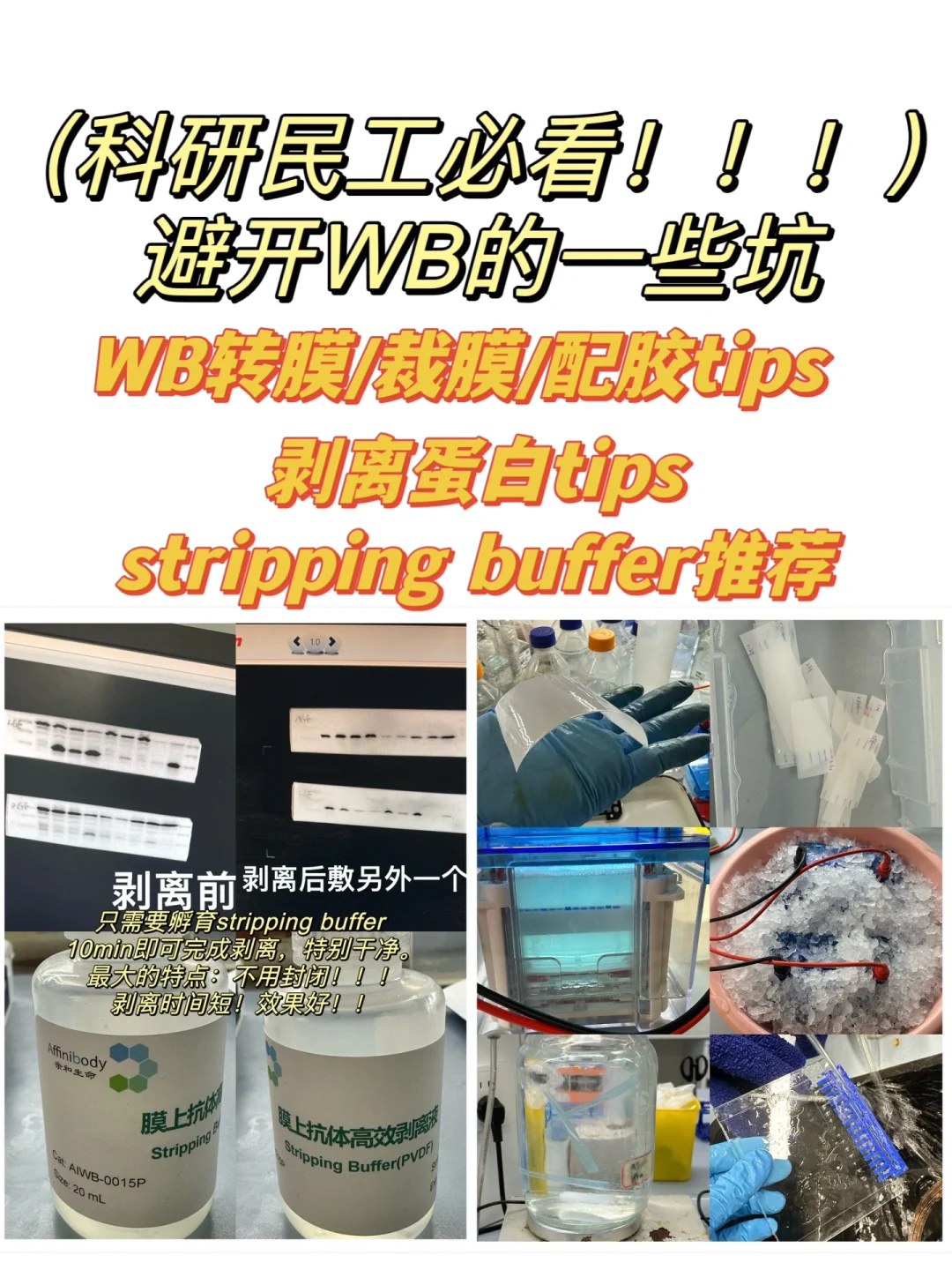 避开WB的一些坑！（转膜裁膜配胶tips）⚠️