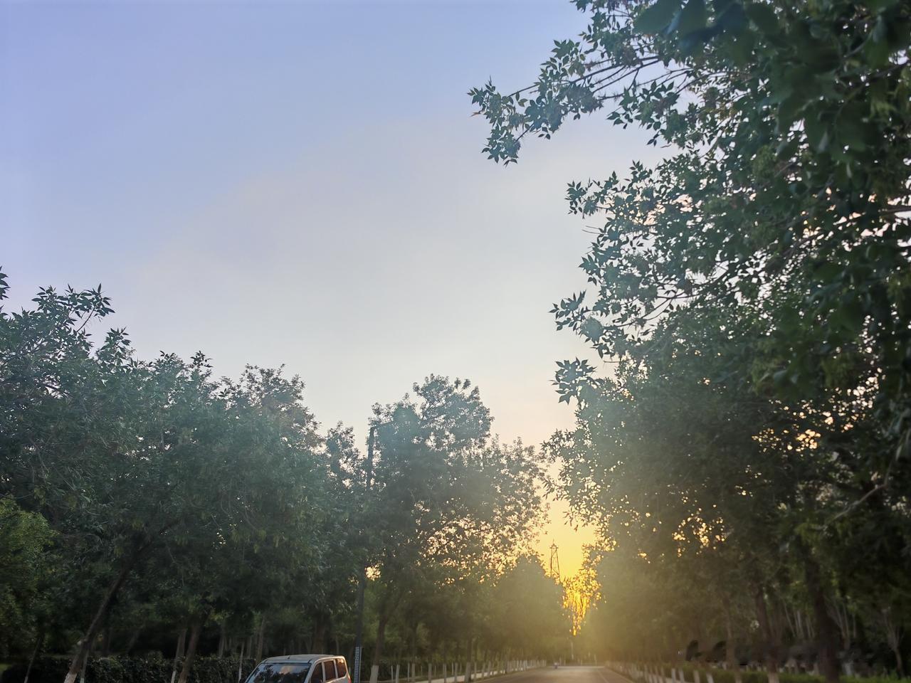 🍒²⁰²⁶/₀₇.₀₁🔆 

站在七月的路口，
将铭心的过往置于掌心，
看时
