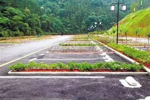 喝高了就发疯
扎车胎把凶器埋花盆
景区还赔偿！  

元旦假期，山西某停车场：游