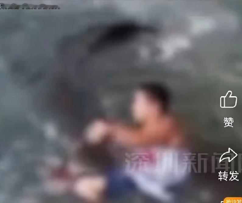高架步道很安全，精神评估却放人走了，孩子摔进鳄鱼池后呢。

那天下午一点多，剑桥