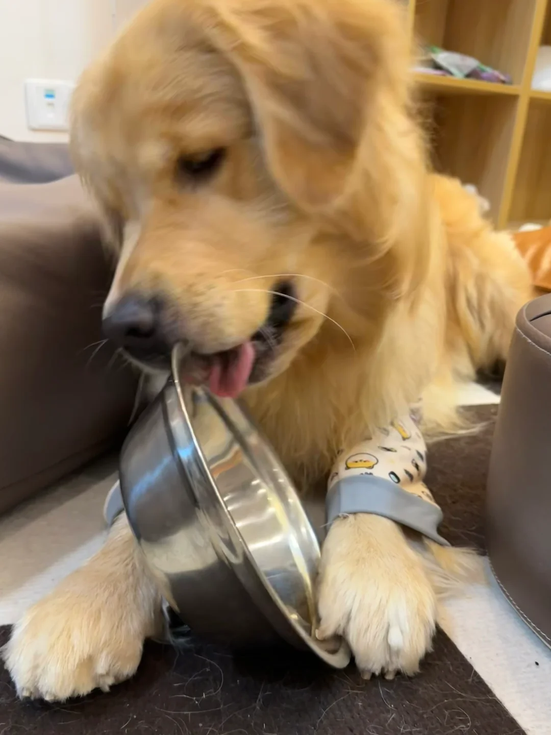 宝宝真贴心，妈妈都不用洗碗了