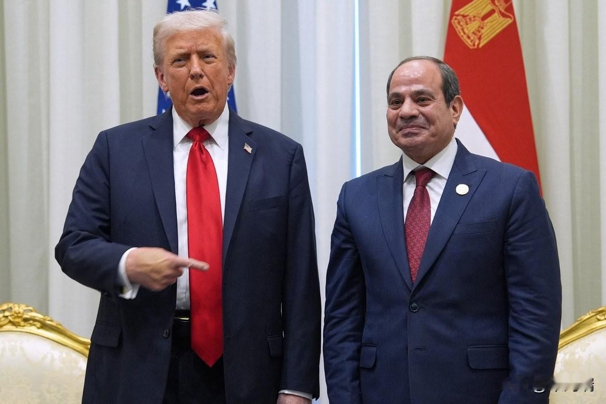 据美国《零对冲》报道，特朗普的尼罗河调解可能加剧地区权力斗争

特朗普提出调解埃