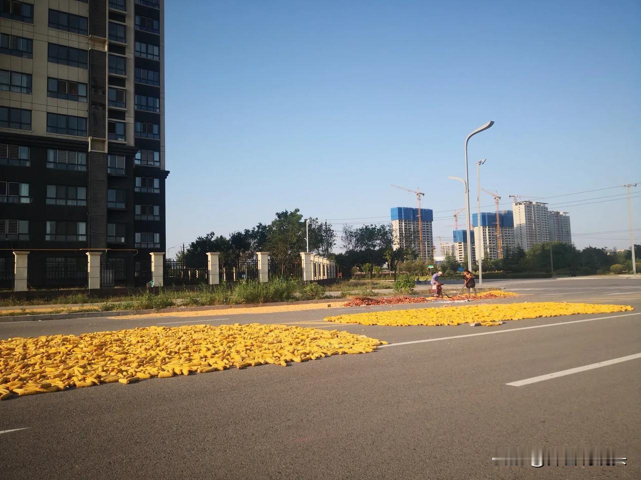  下午，路过咸阳高新区。一幢幢高层漂亮大起，遗憾的是小区旁边的公路上，一多半都晒