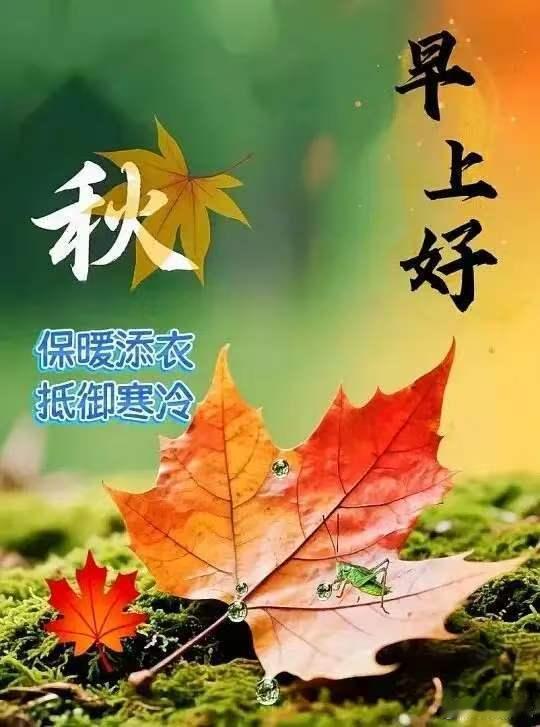 每天摸鱼打卡      早上好！     秋风千里带花香，微信短短送吉祥，[玫瑰