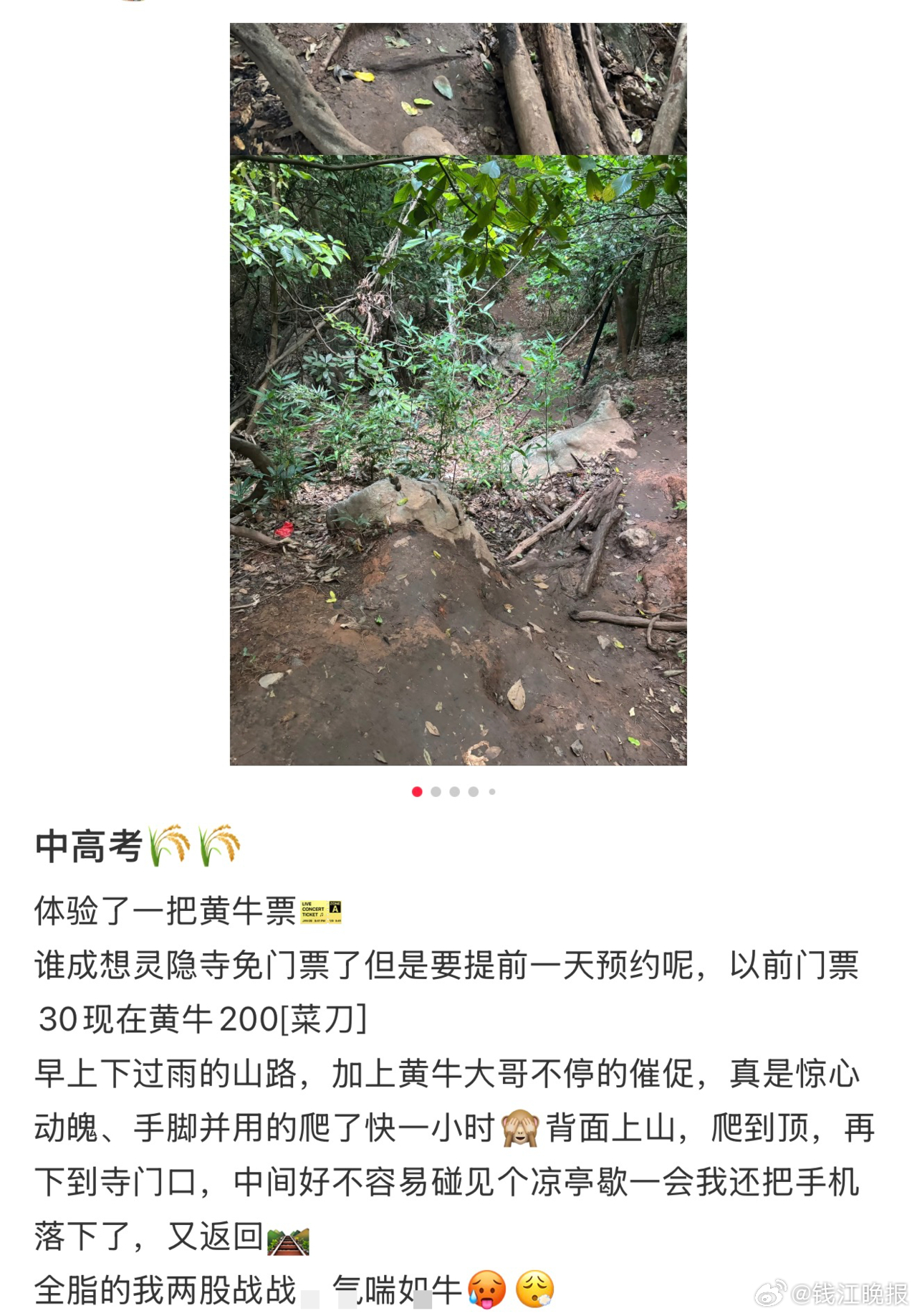 【#灵隐永封312个黄牛账号#】#4家旅行社被永久取消灵隐预约资格# 针对灵隐飞