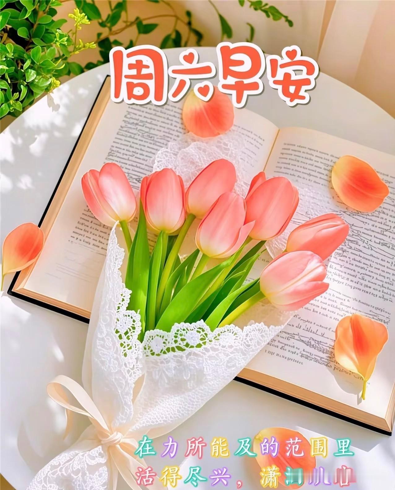 ²⁰²⁶/₀₅.₁₆ 周六｜一键复制发⭕，去拥抱每一个不期而遇的温暖🧡✨

￼