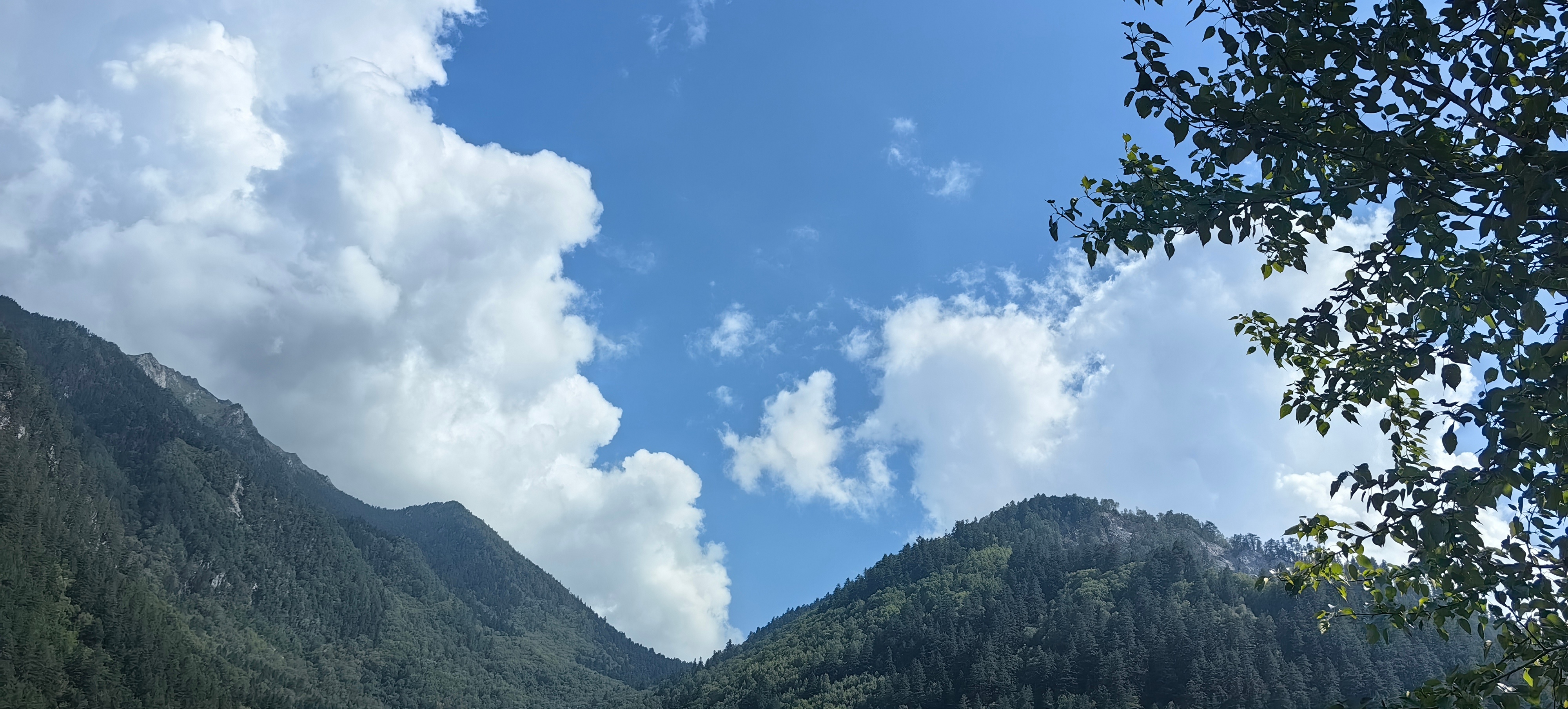 早，过几天又可以看山看水了 