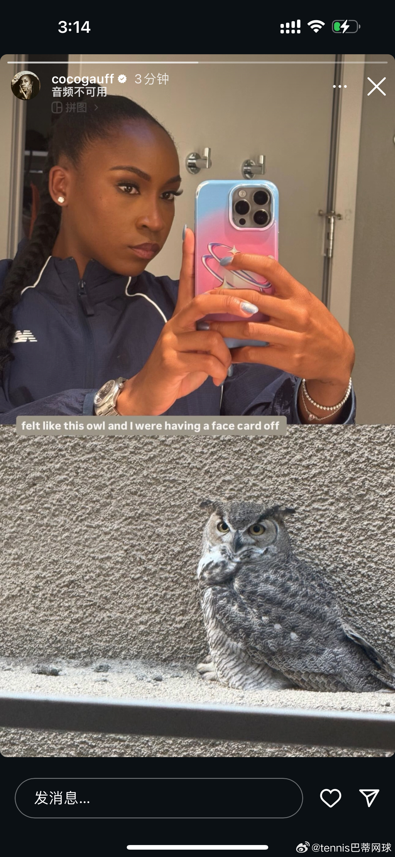 芙妹今日份颜值battle，对手是一只看起来很不好惹的猫头鹰芙妹这是冲浪睡不着么