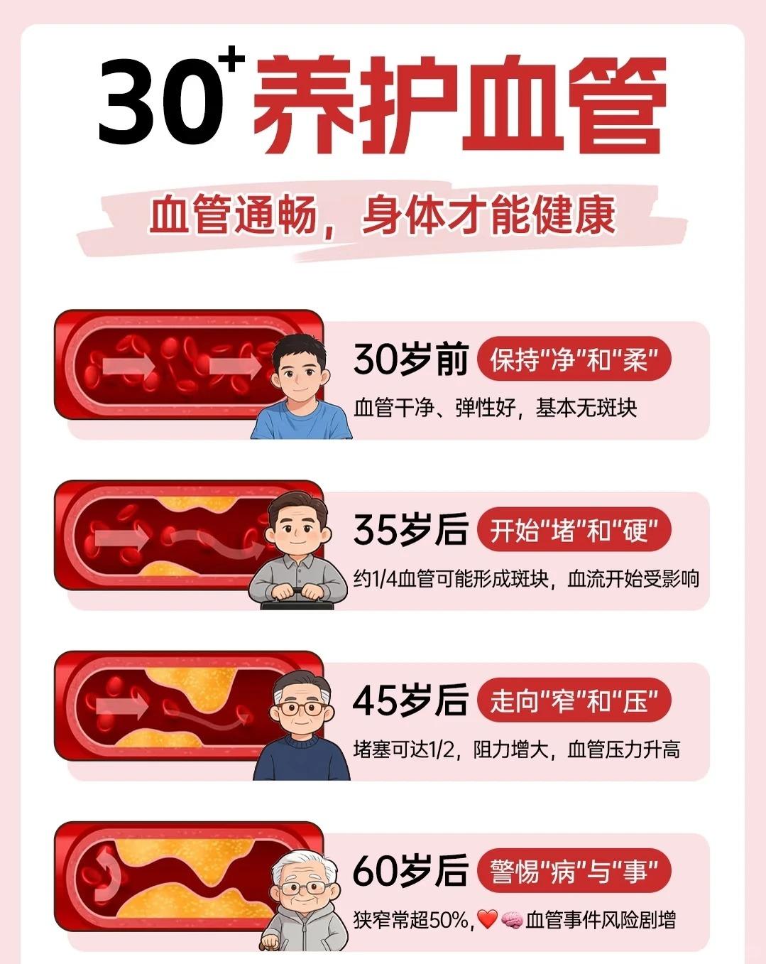30+养护血管，血管通畅，身体才能健康。