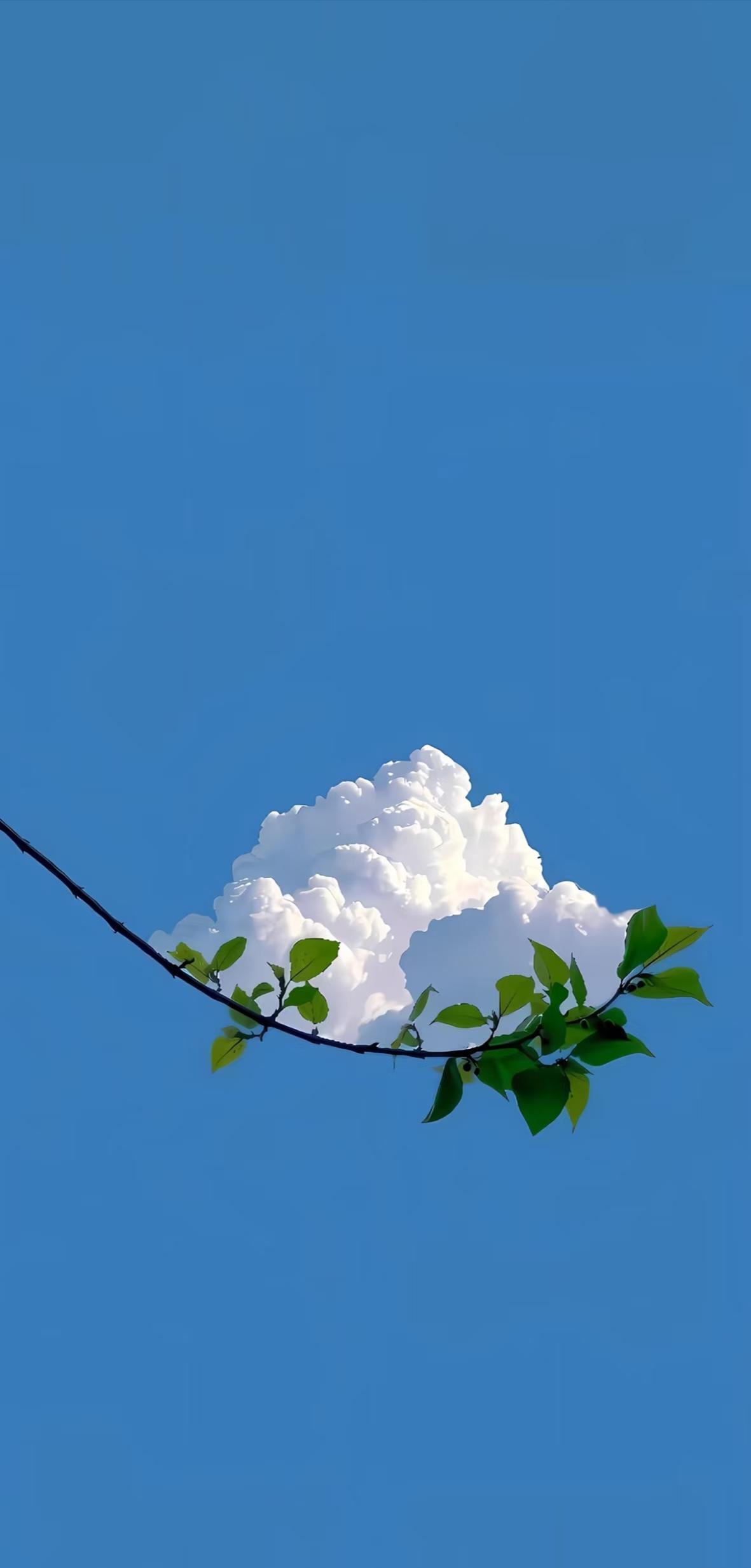 向你的敌人学习。
知己知彼，百战不殆。
你要学会换位思考，要知道对方的处境，特点