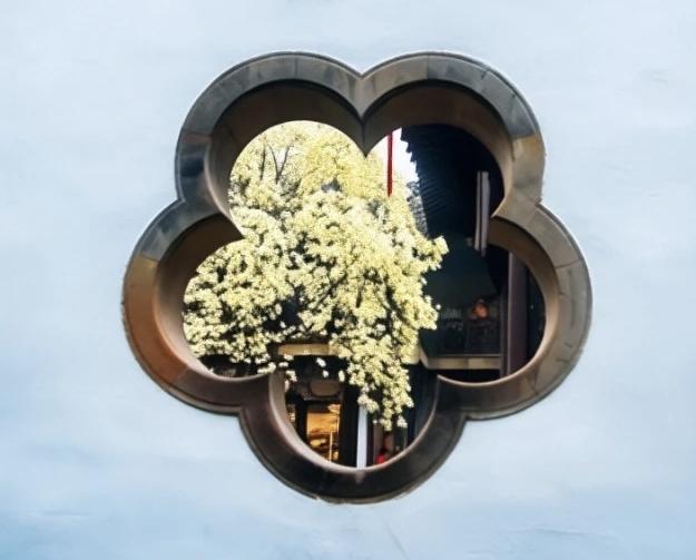 【当你把焦虑放在显微镜下，一粒尘埃也会变成狰狞的怪物；不被想象裹挟，不放大恐惧，