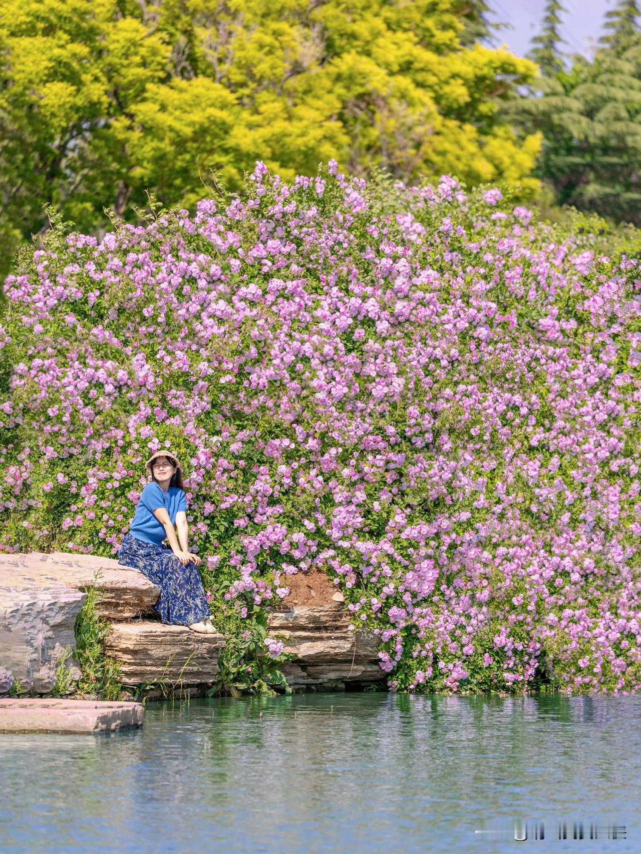 🌸来青岛看演唱会的朋友一定要留2天给城阳

一场场演唱会在城阳开唱，让很多外地