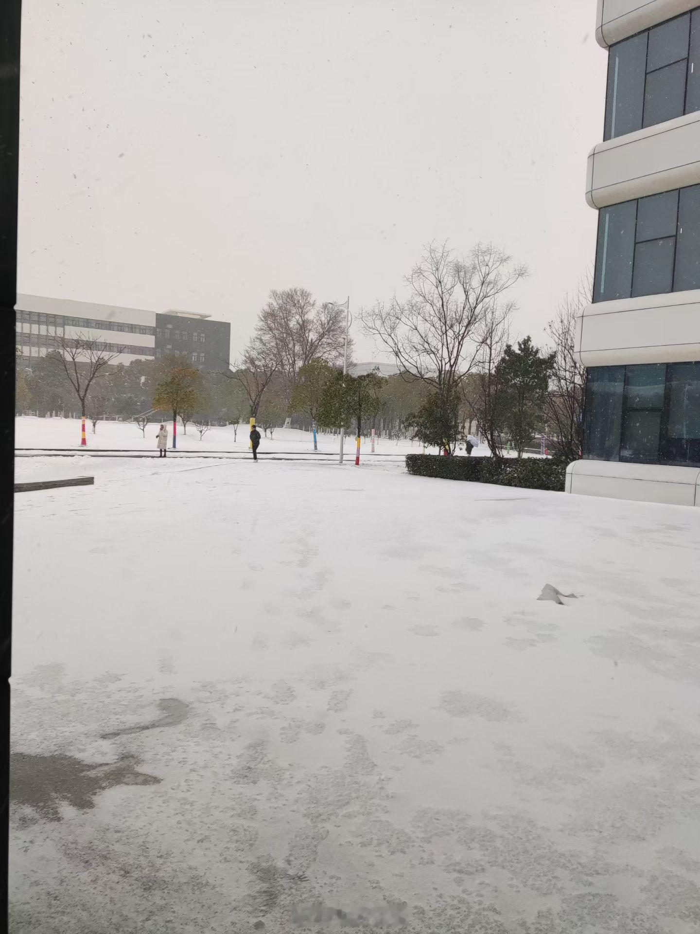 上海下雪杭州下雪 今天大寒，下雪了 