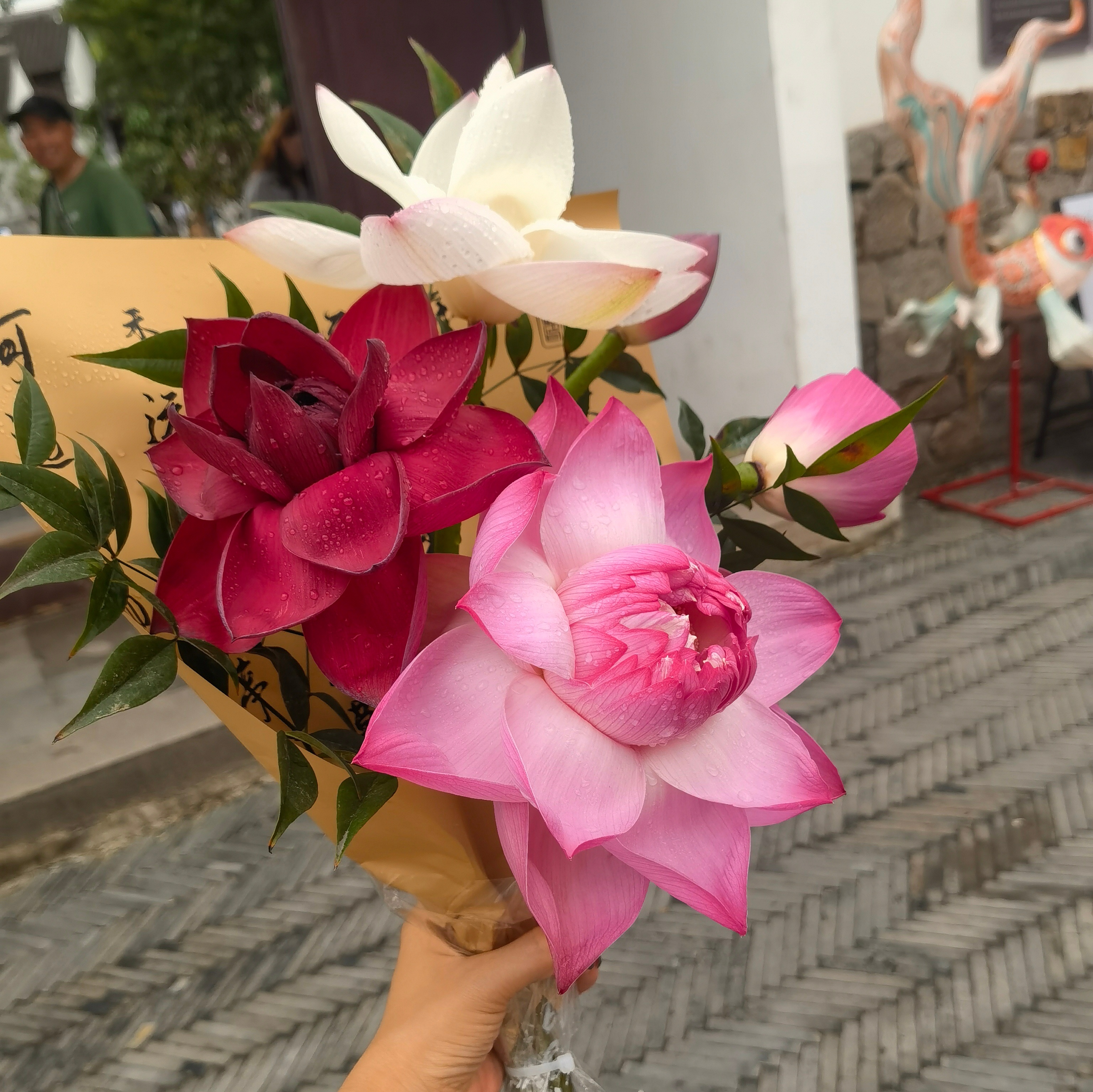 莲蓬冰淇淋吃了 苏扇冰淇淋吃了 炸荷花也吃了在苏州荷花市集去去班味儿祝亲爱的大家