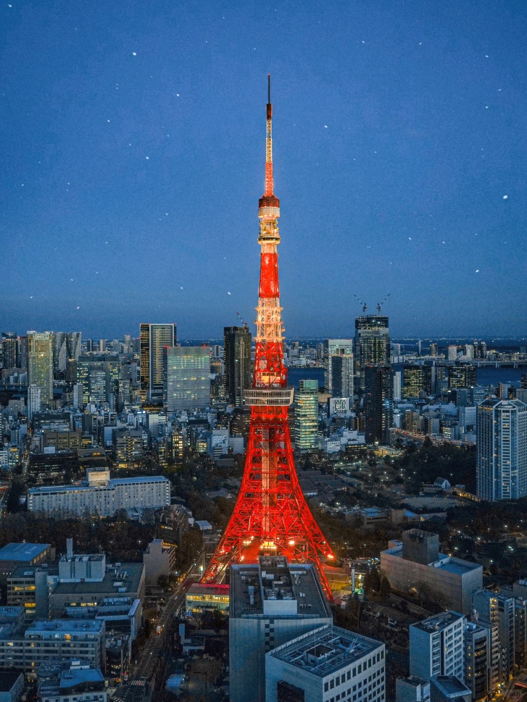 0元看东京夜景🗼跟风最成功的一次…..