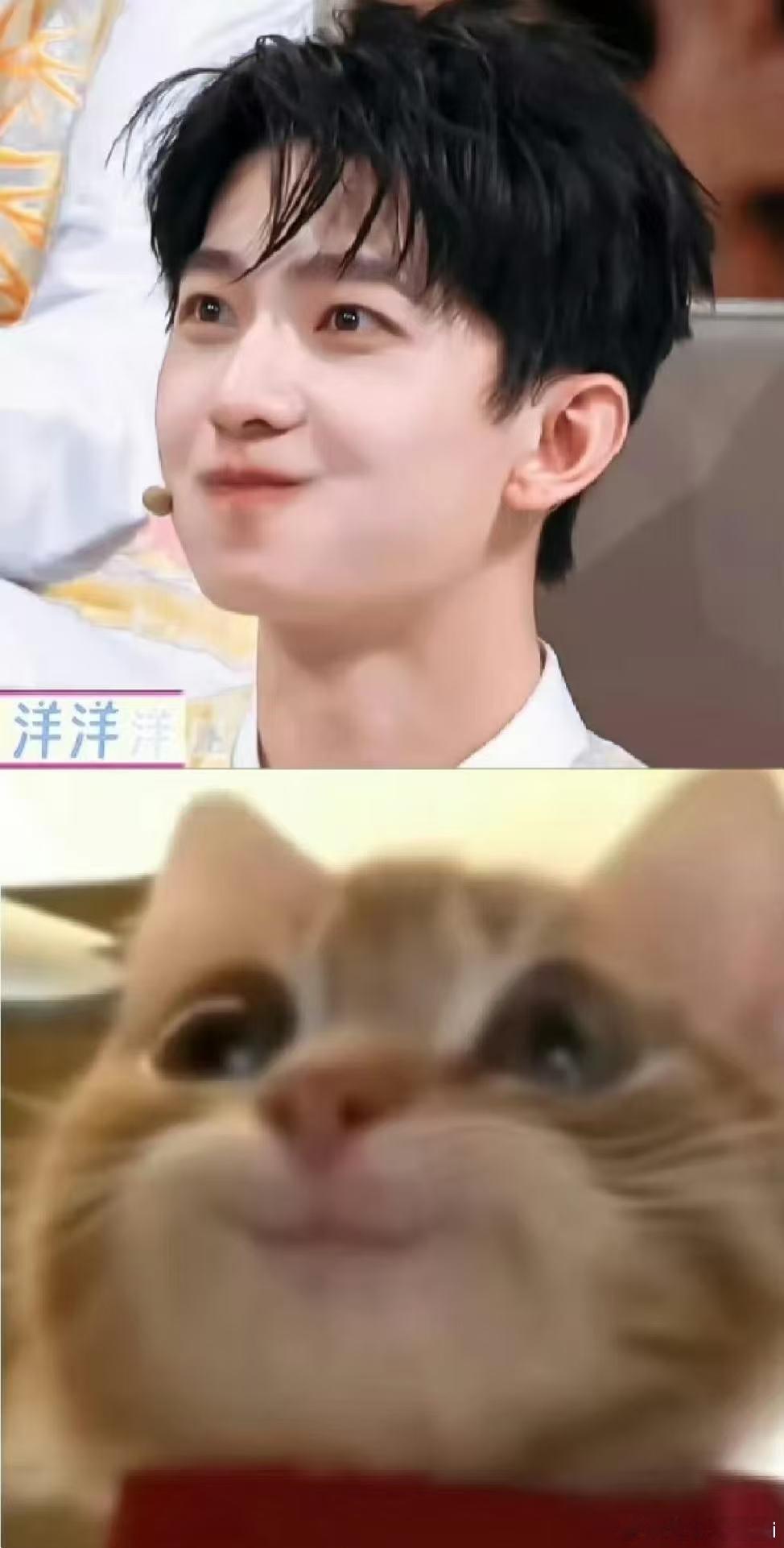 杨洋其实是小猫的几个证据！杨洋还没原谅青春文学吗杨洋真没拿我当外人