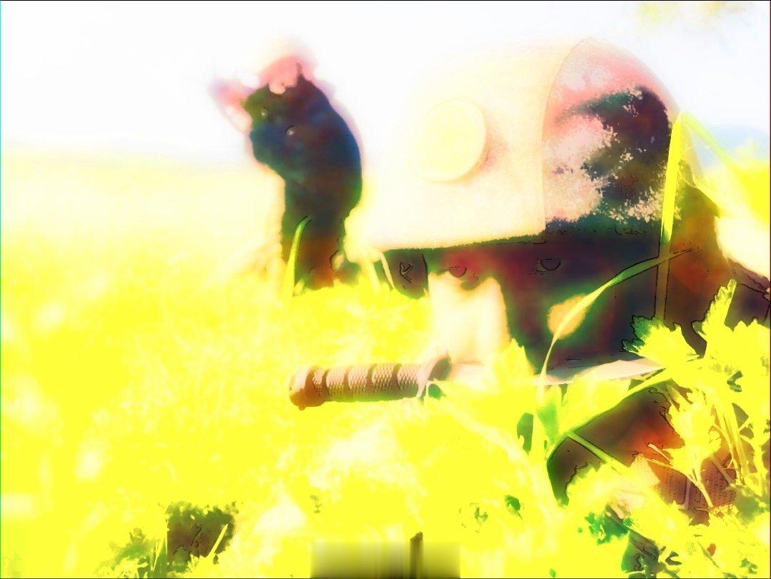 #铸剑中原[超话]##早安军营##原原说早晚安# 夏练三伏，冬练三九，精钢百炼，