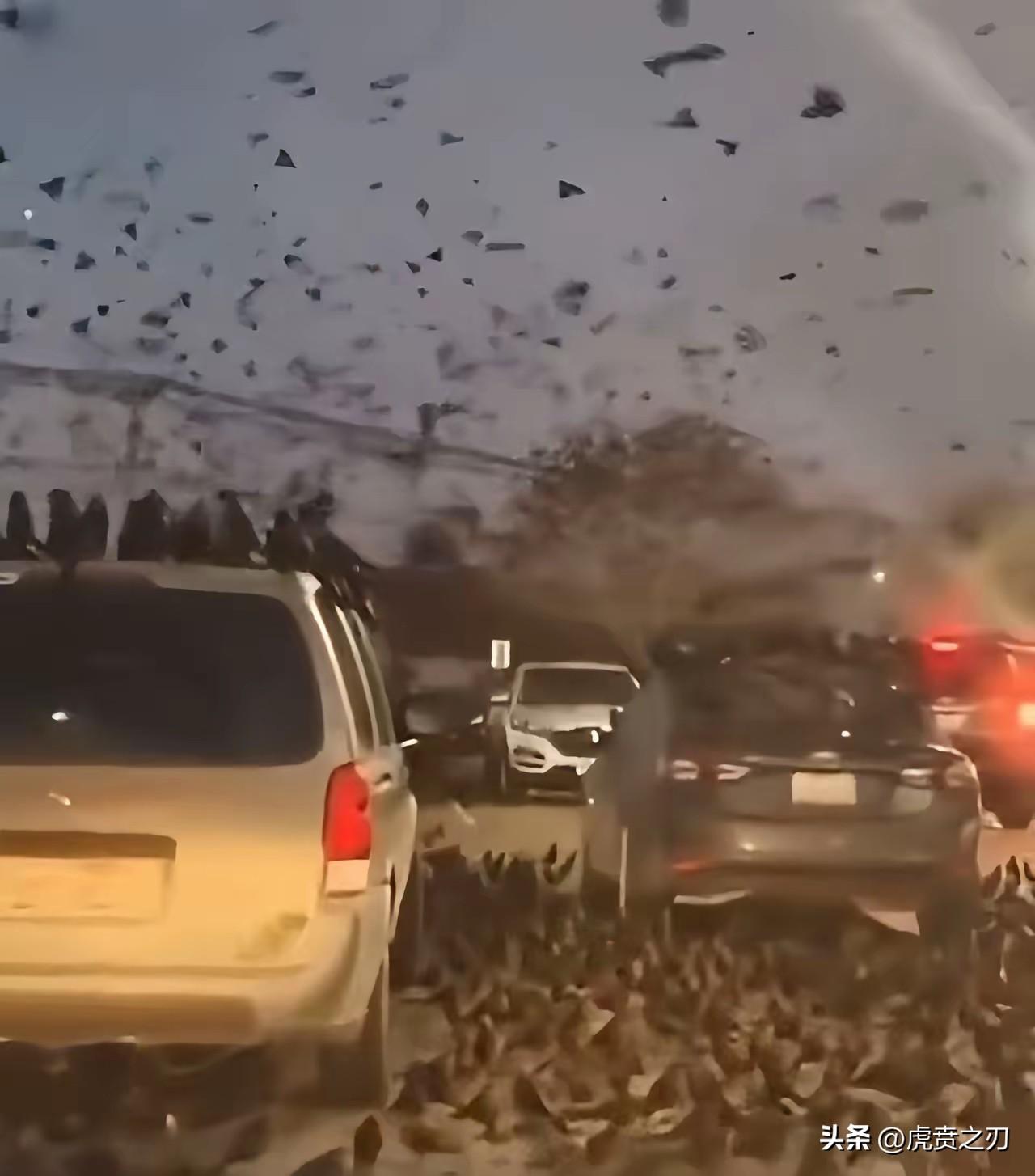 2023年11月27日，欧洲新闻引述欧洲地中海人权检测组织信息，以色列军队疑似从