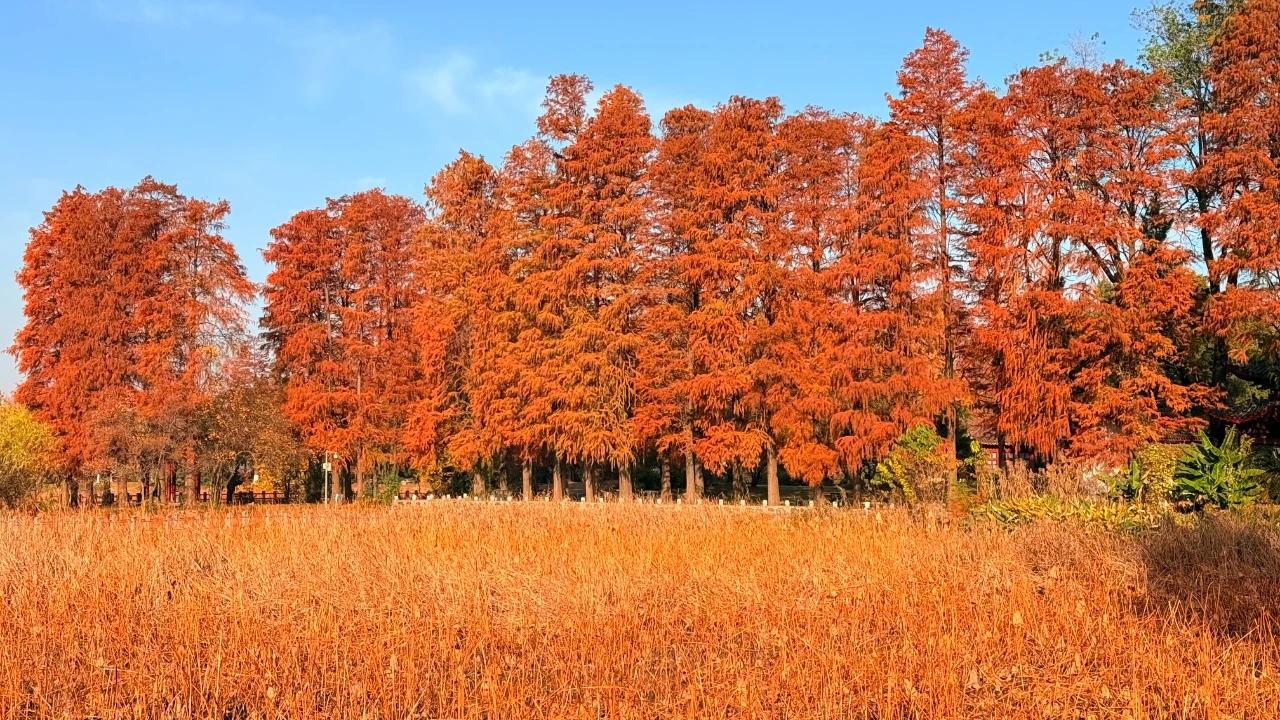【会说说都市，不会说说屋里】
        “会说说都市，不会说说屋里”这话还