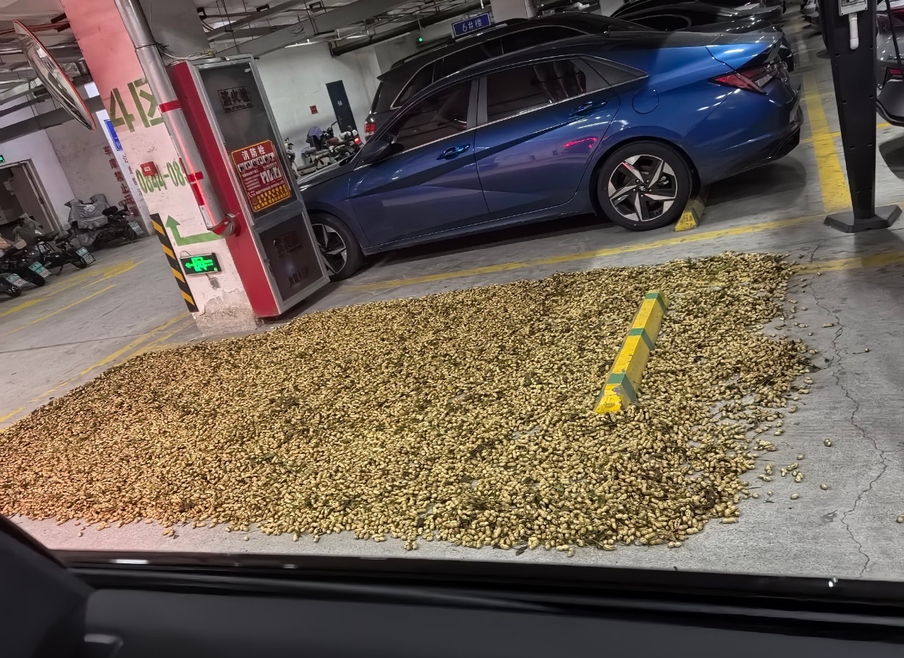 如果回家发现自己车位上被邻居铺满了花生你会怎么做？