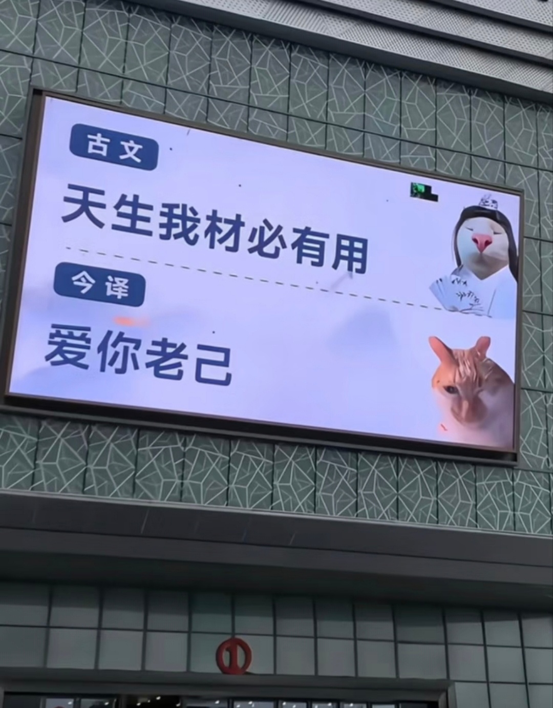 “  中国语言博大精深 … ” 