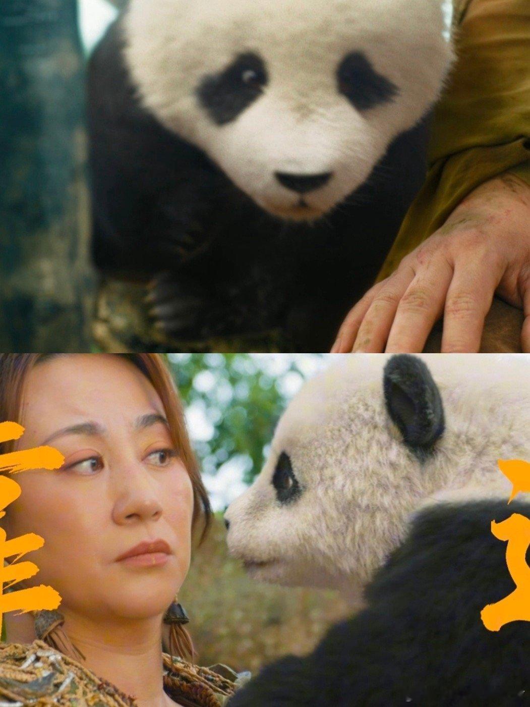 爱要大声说才会有回音 中国人擅长等待，却不擅长表白。等雨水等收获等无数个日子，却