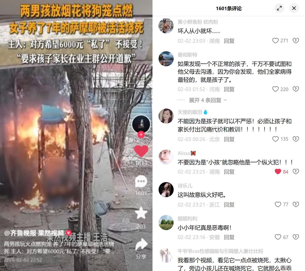 7年萨摩耶被烧死，拒6000元私了

两个孩子玩烟花引燃狗笼，一只被主人养了