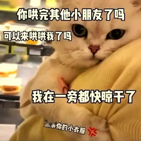 全网都在说萧敬腾37岁娶了个大他14岁的老婆，也就是说他老婆51岁。我就忽发奇想