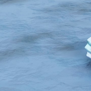 每日一善 阳光信用 “天才是1%的灵感加上99%的汗水。” 这句话提醒我们，成功