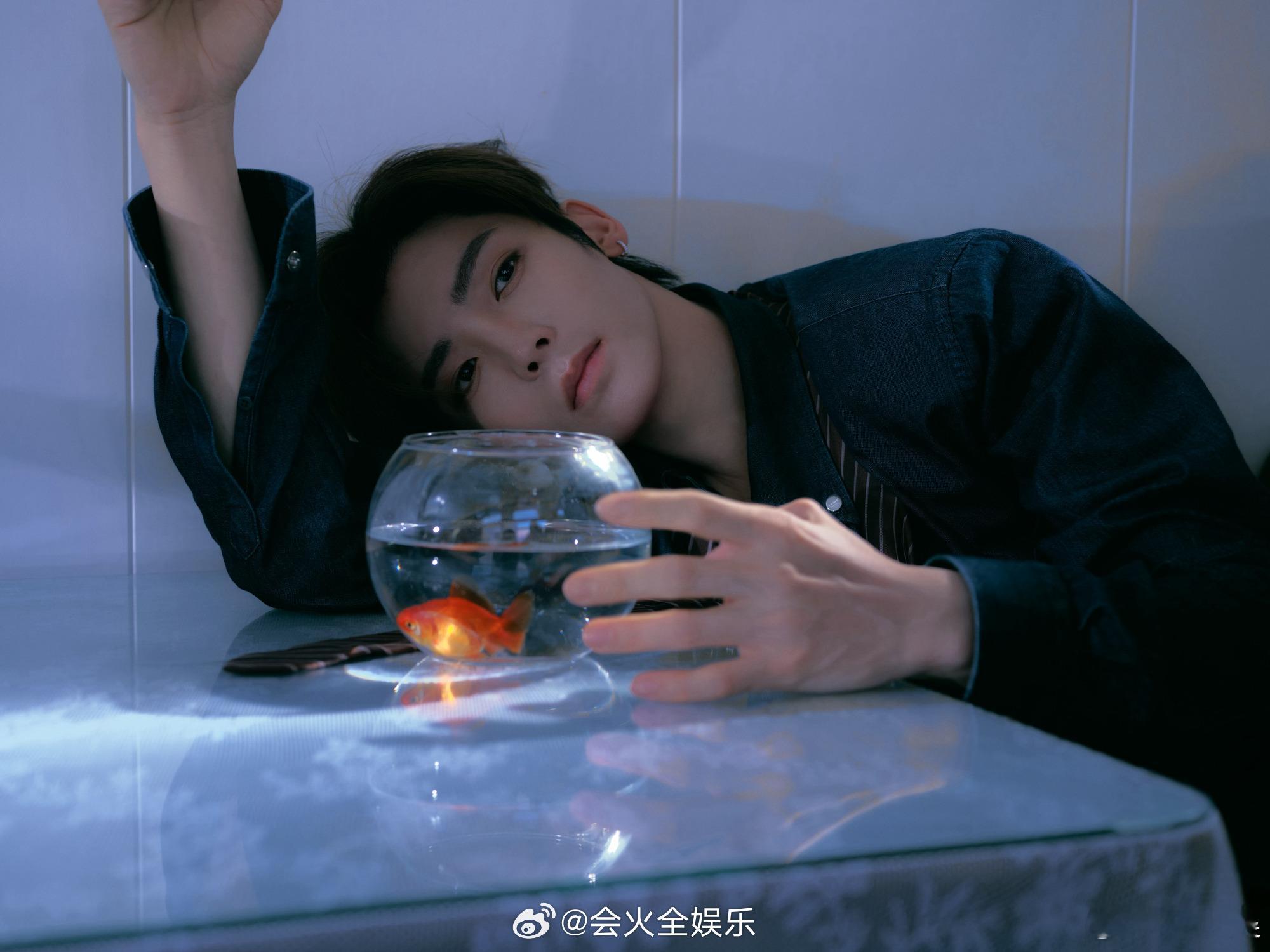 浪漫无需多言侯明昊七夕卡点表白粉丝侯明昊忧郁版老肩巨滑