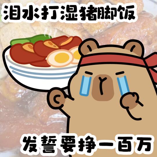 表情包｜泪水打湿猪脚饭
