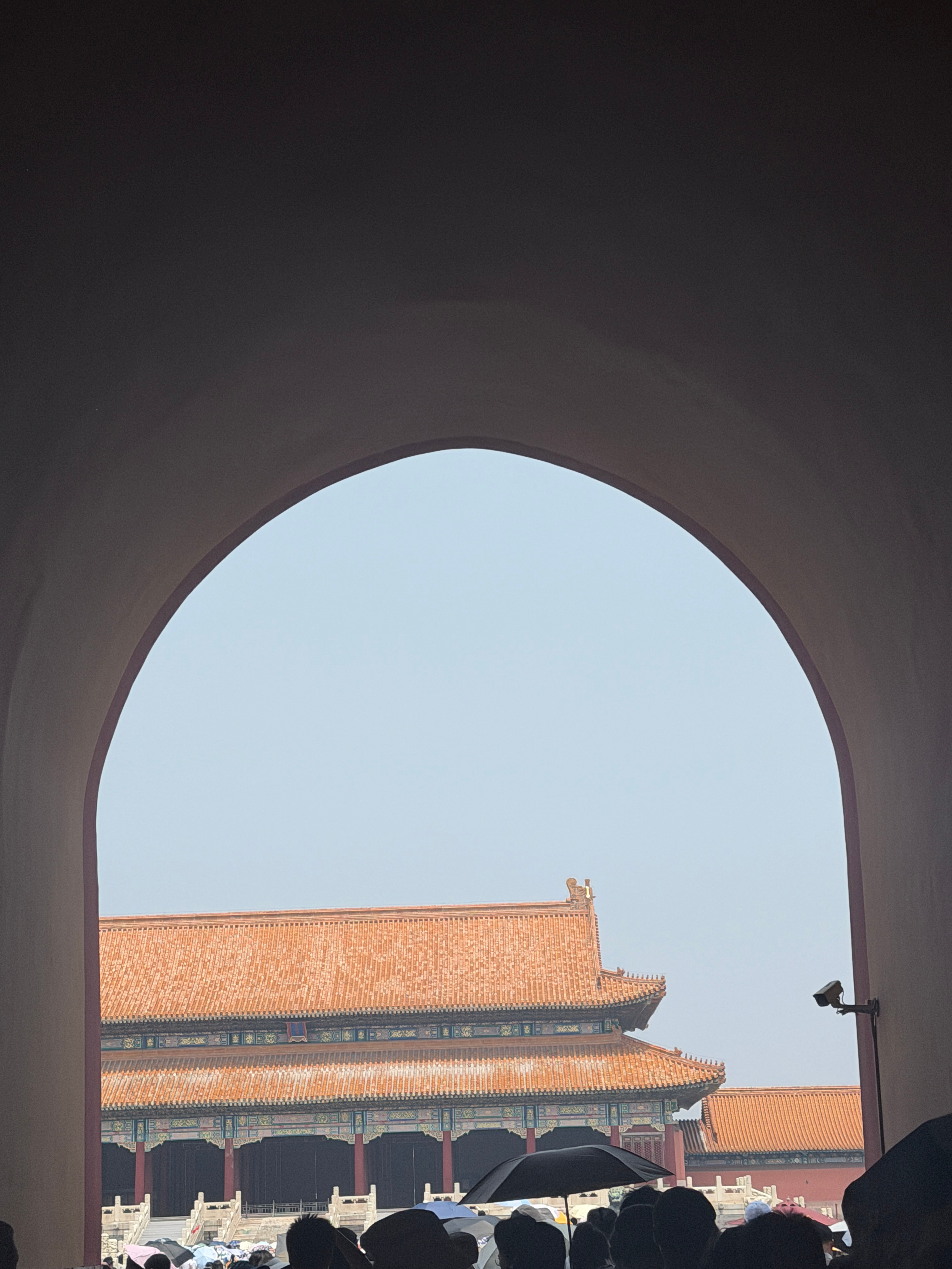 分享图片 