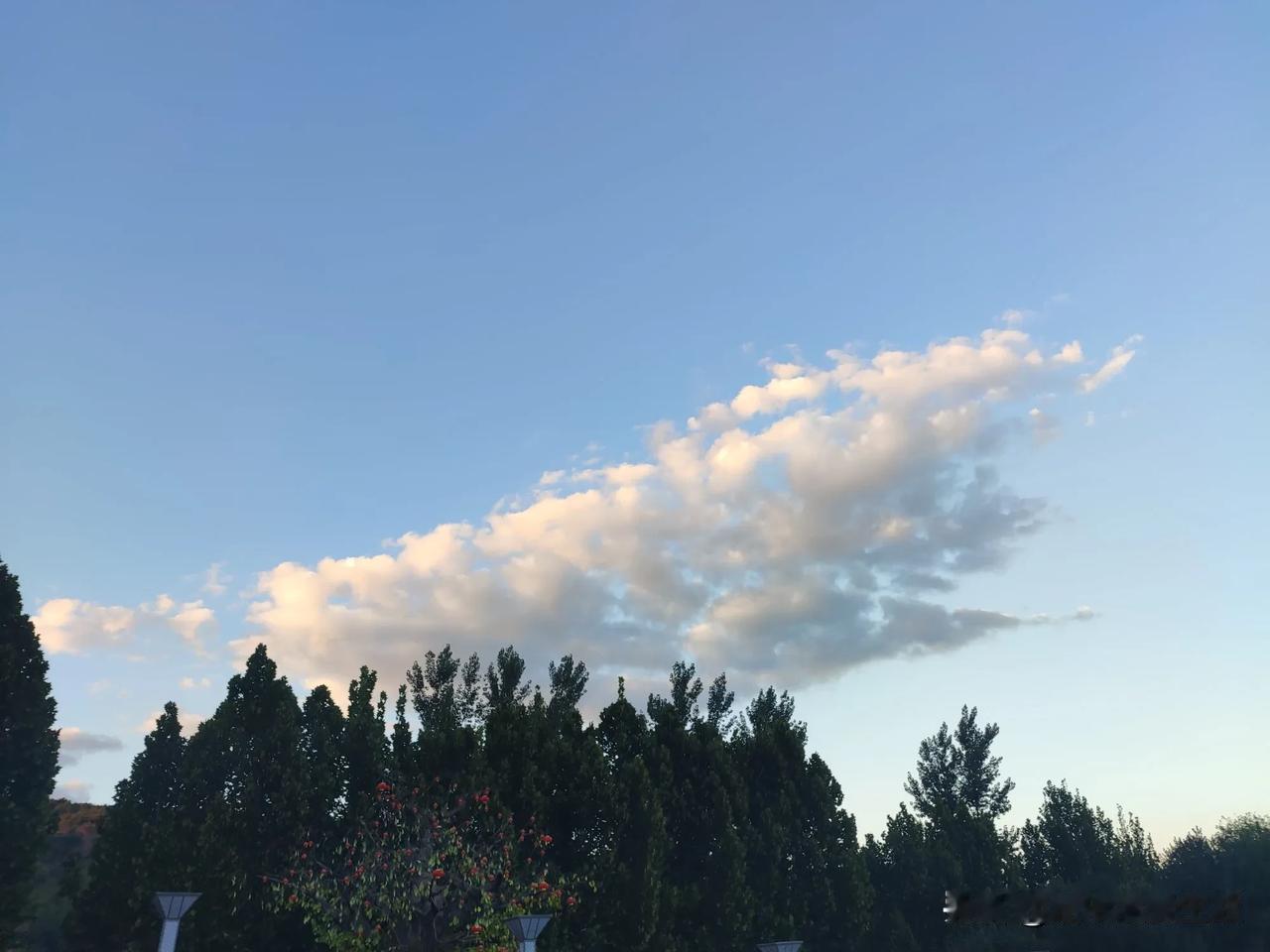 秋分到，秋高气爽
适合出游、遛弯散心
愿你与美好不期而遇
  [玫瑰]    [
