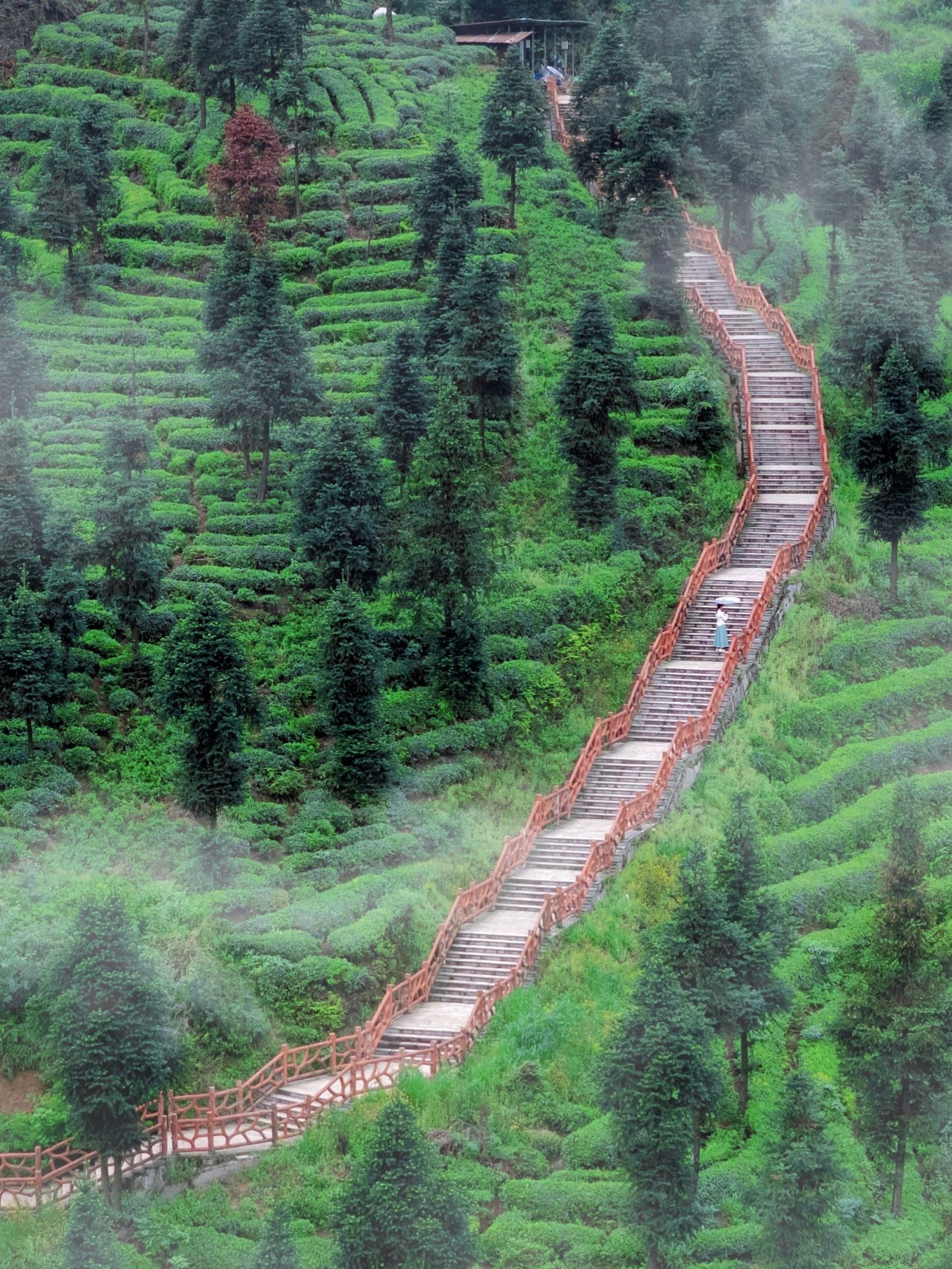 以为青城山很美了，直到我去了这里…中国山水画，真的不是写意，是写实！ ...