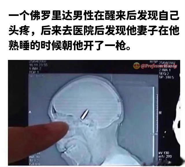 佛罗里达人的日常 ​​​