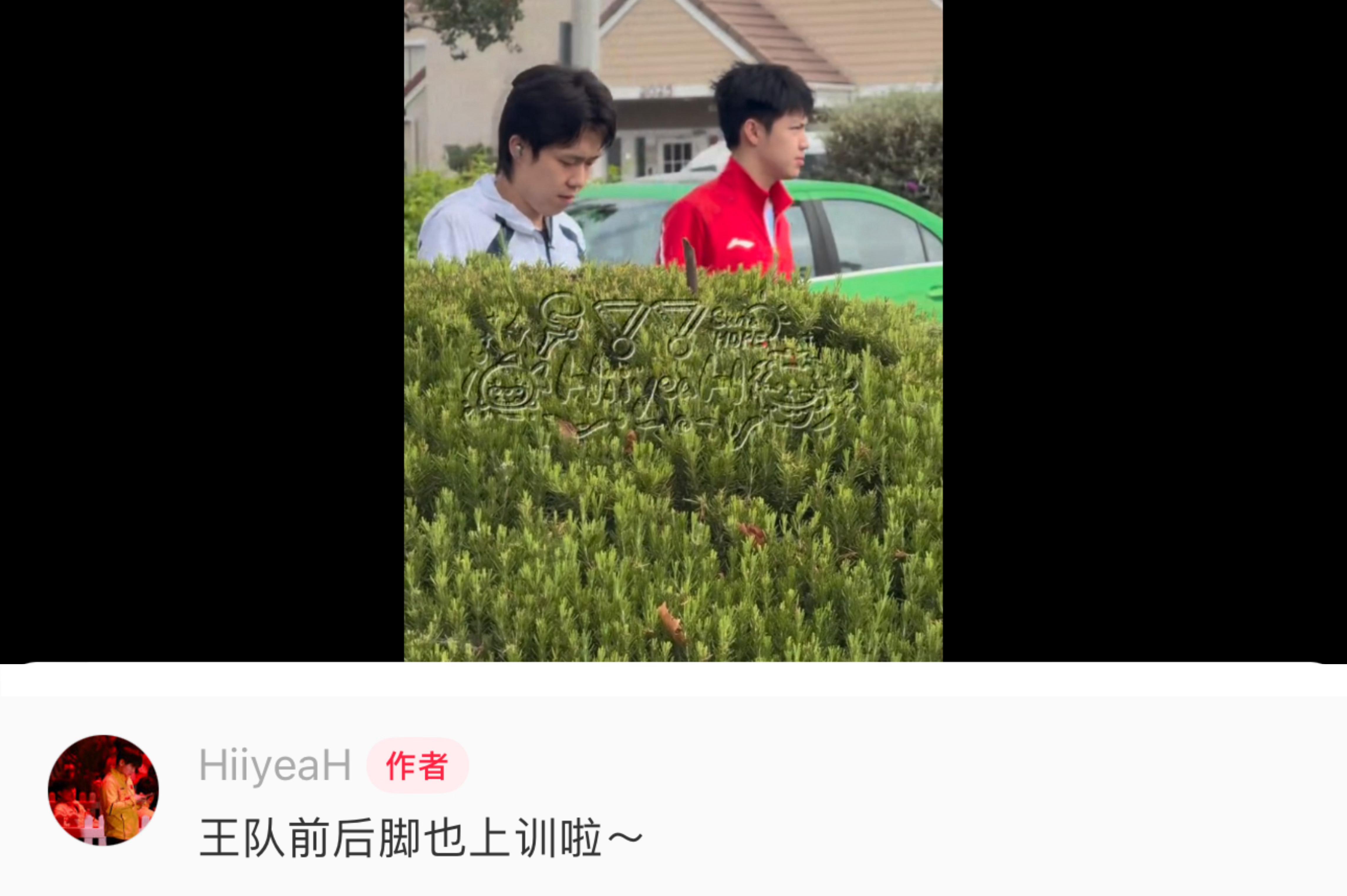 前后脚