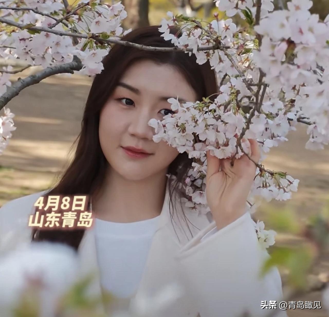 4月，青岛顶流，满园的樱花盛开，两届奥运冠军陈梦也来了！

4月，青岛中山公园肯