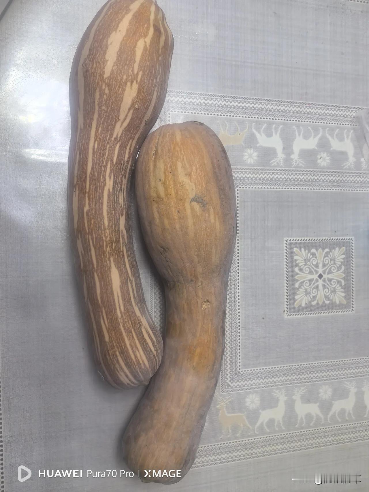 在我的老家把这两种瓜都叫北瓜，北方人习惯用它做馅儿，长的糖分较低，圆的糖分高一些