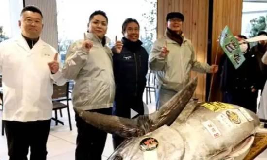 Motorbike-sized tuna sold to Tokyo sushi