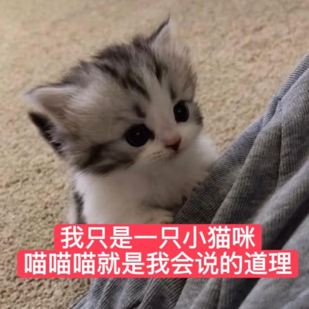 最近不能让我妈看北京卫视刚刚突然开始念618的参演名单 吓得我赶紧和他说话。