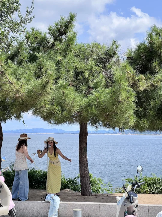 25.9.15暴雨前养马岛live实况图