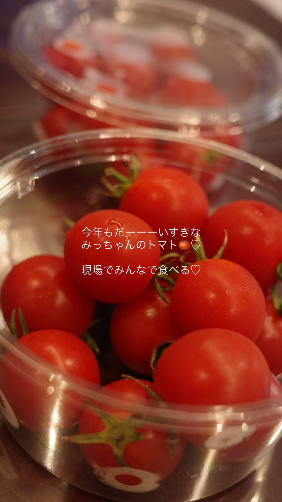 芳根京子 ​​​