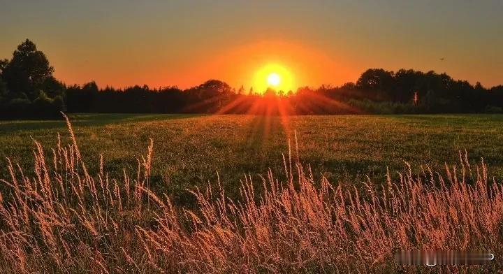 来看看你手机里的夕阳
