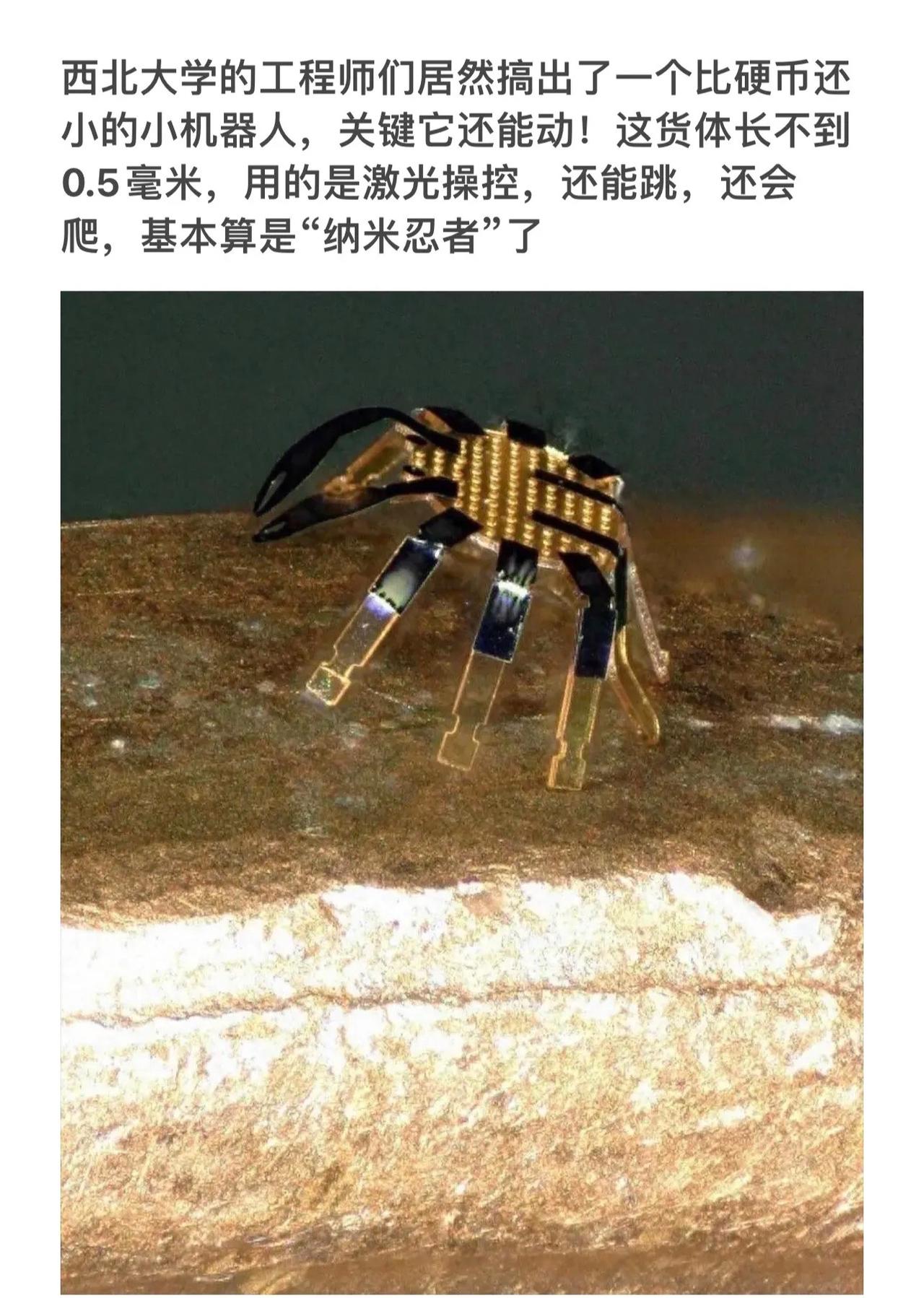 “西北大学工程师造出0.5毫米微小机器人，能动能跳，宛如纳米忍者！”🤖🔬💡
