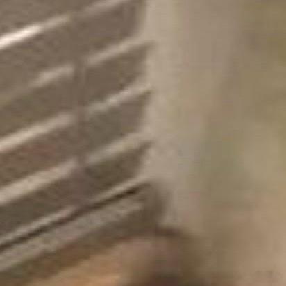 学会宽容，让你的生活没有烦恼；学会奉献，让你的生活充满阳光。 其实天很蓝，阴云总