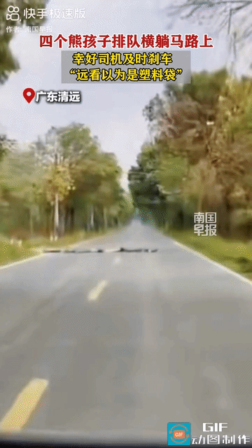 “欠收拾！”广东清远，4个熊孩子排队横躺马路上拦路，司机远看还以为是塑料袋，是汽