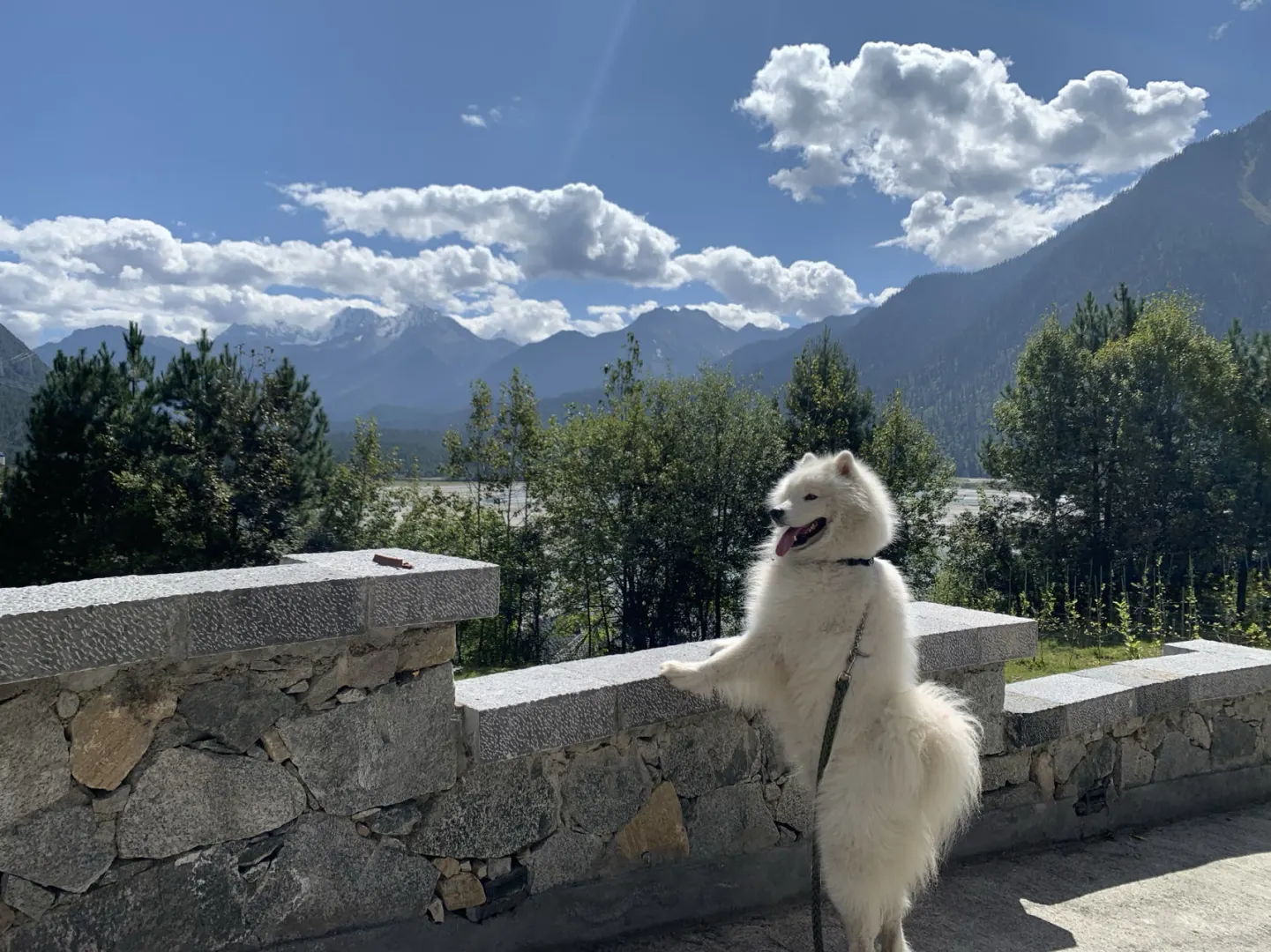 耶耶惊叹连连，差点直立行走