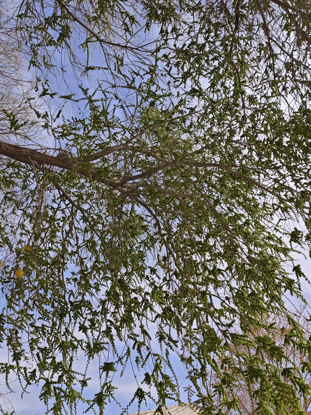 横批：地灵人杰！