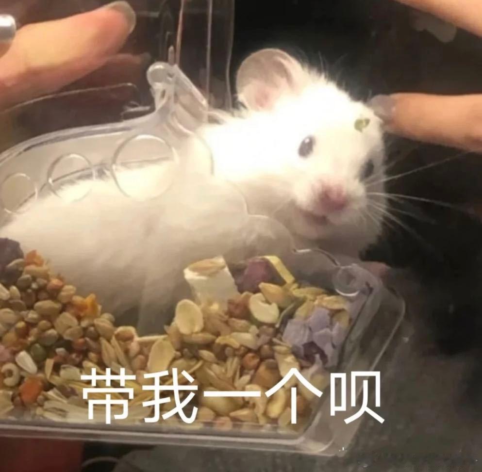 #这是我素未谋面的老板#好羡慕啊，我也想要有这样大方的老板，要是我能在他手底下干