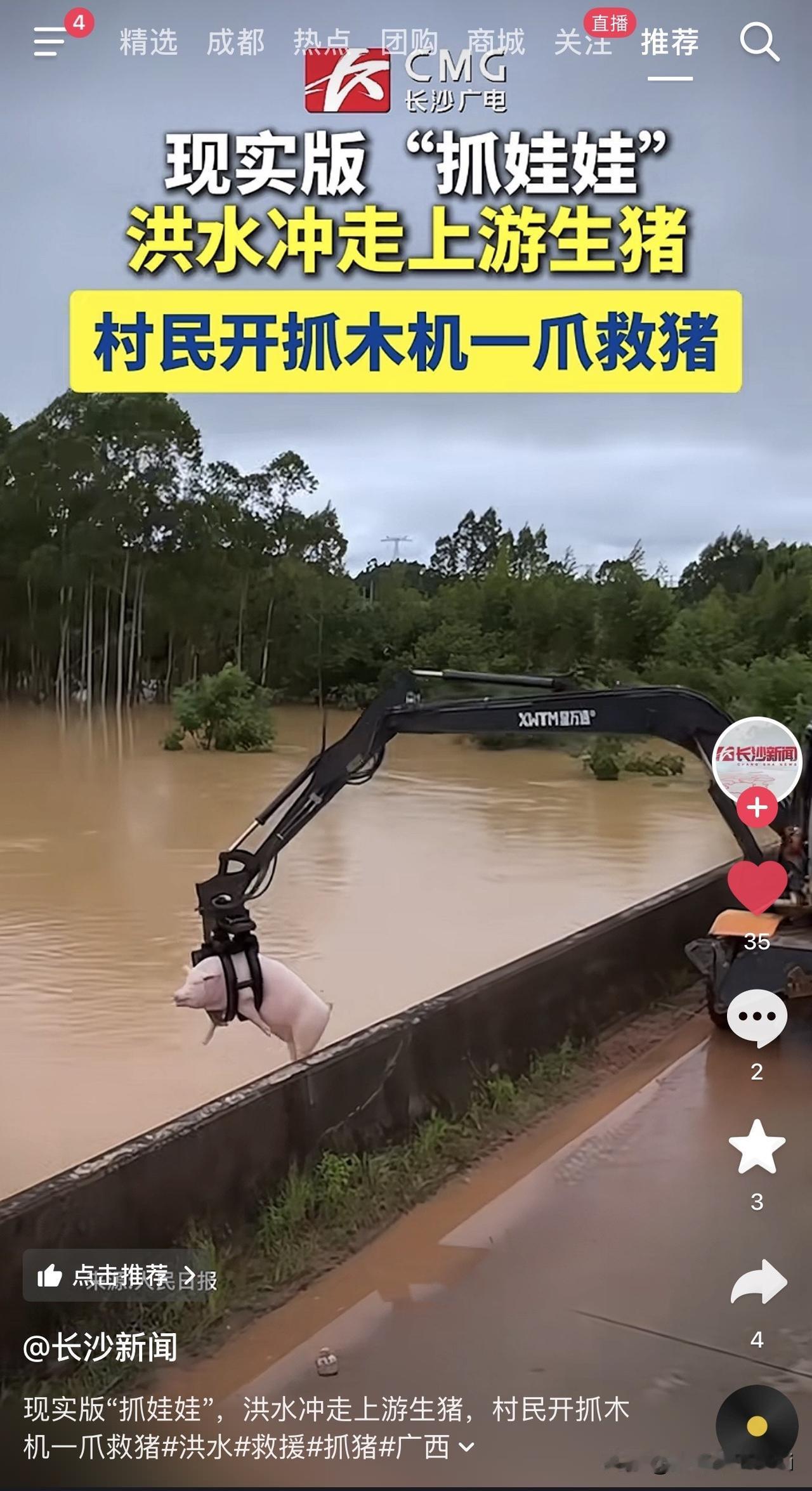 现实版抓“娃娃机”！平时在工地上干粗活累活的抓木机，居然还有这用处？上游的猪被洪